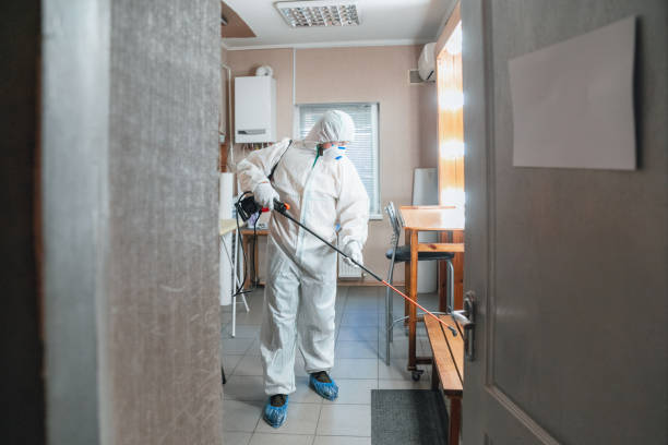 Environmental Consulting for Mold Prevention in Florence, AL